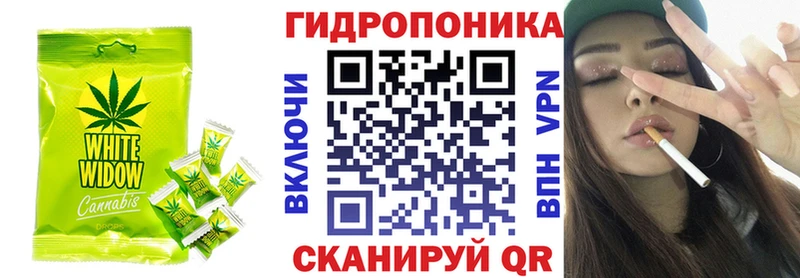 Canna-Cookies марихуана  ОМГ ОМГ сайт  Мытищи 