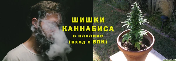 шишки Елизово