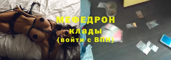 шишки Елизово