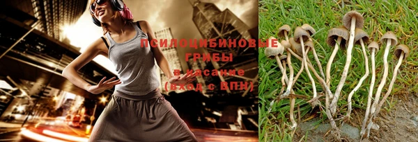 бошки Ельня