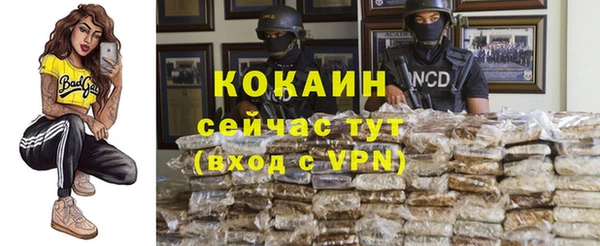 спиды Дмитриев
