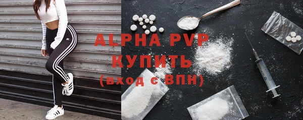 спиды Дмитриев