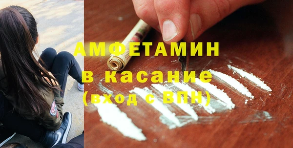 шишки Елизово