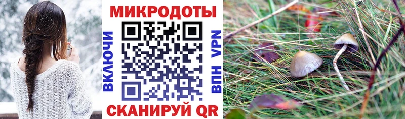 MEGA   цены наркотик  Мытищи  Псилоцибиновые грибы MAGIC MUSHROOMS 